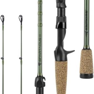 KastKing Spartacus II Fishing Rods – IM6 Graphite Blanks Casting & Spinning Rods, 2-Piece Rods with Extra Tip Section, PTS Power Transition System, KastFlex Technology, Rubber Cork Handle